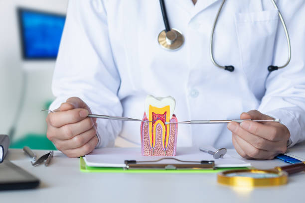 Best Emergency Treatment for Oral Infections in Squaw Valley, CA